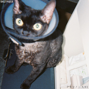 富婆性婬乱A片AAAA片
