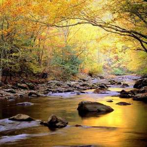 富婆性婬乱A片AAAA片
